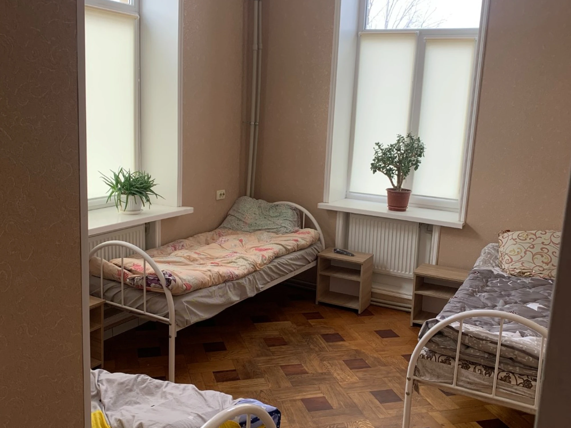 Фото  - Вишневий Сад