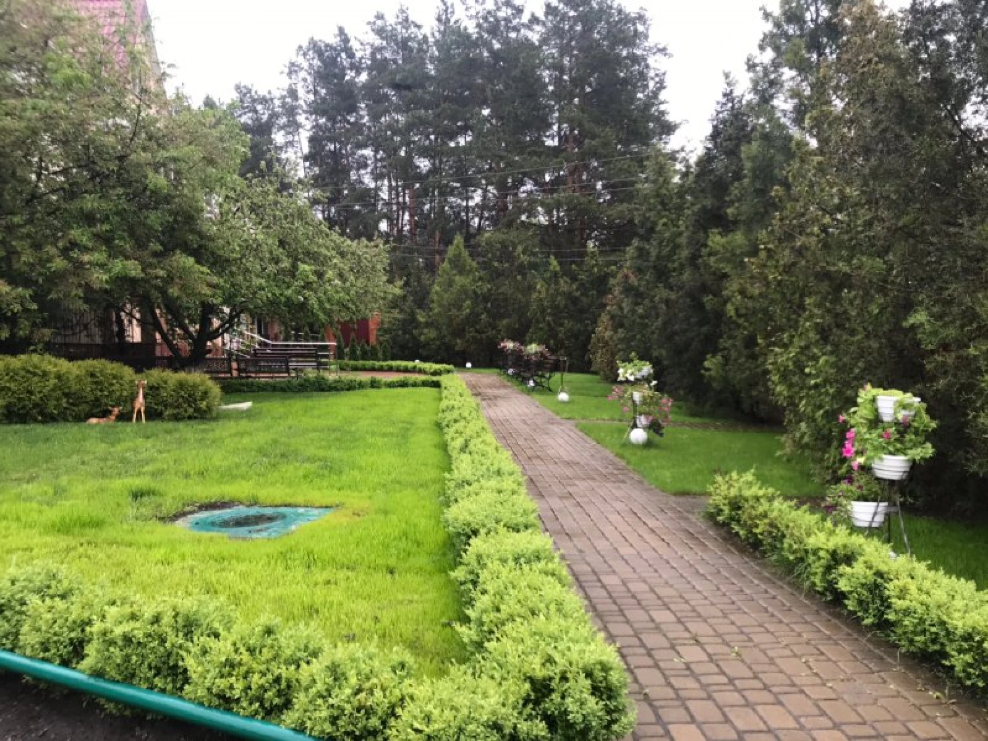 Фото  - Гута Грін
